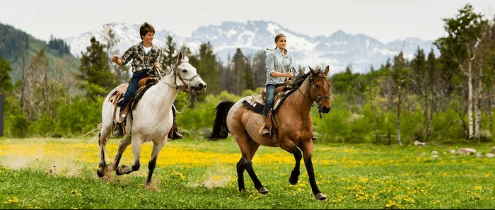 Confident plus-size woman riding Busby a horse through a field with a smile on her face.